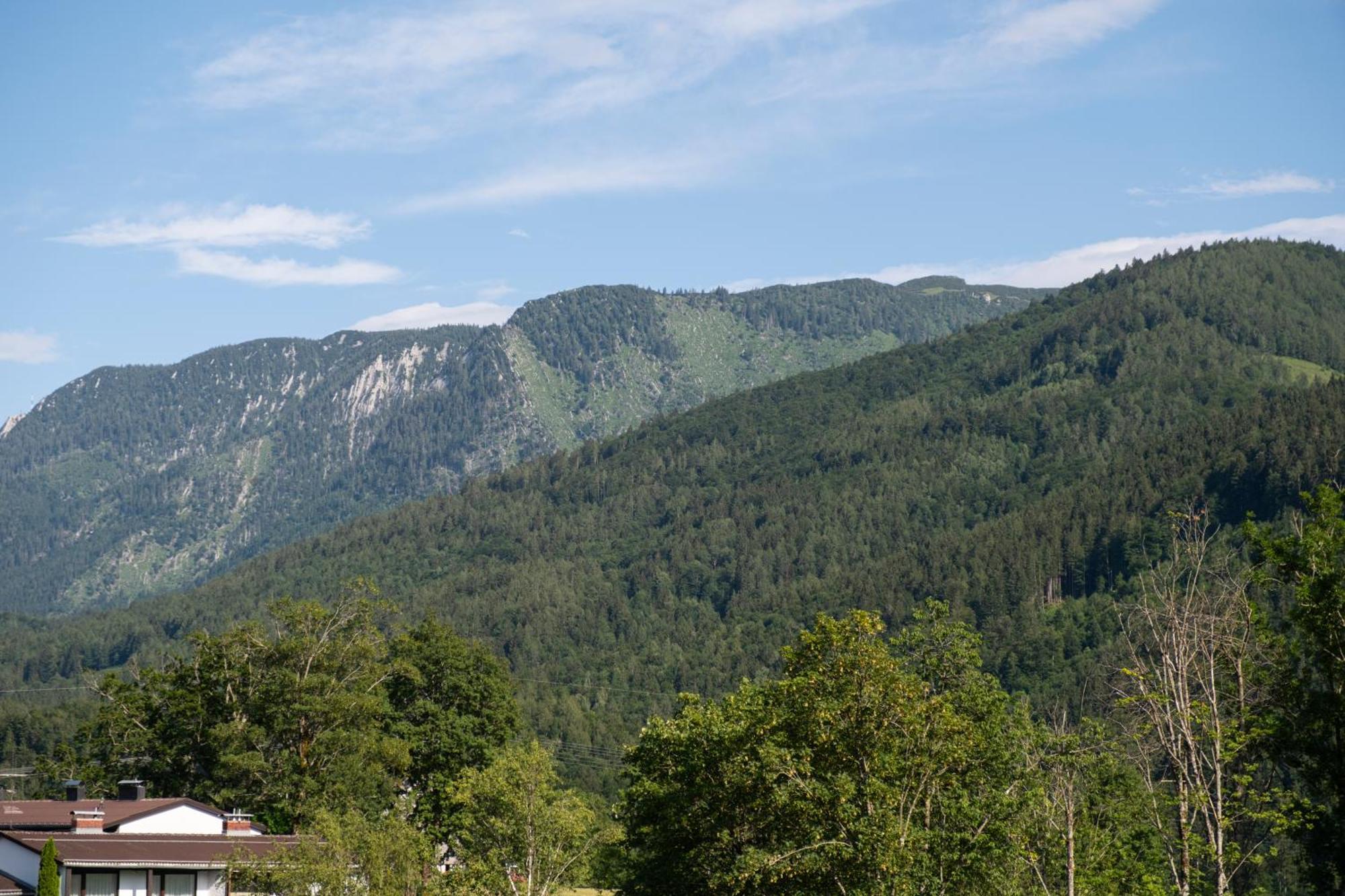 Suite Apartment Modern Getaway - Neu Renoviert - Strobl Am Wolfgangsee ภายนอก รูปภาพ